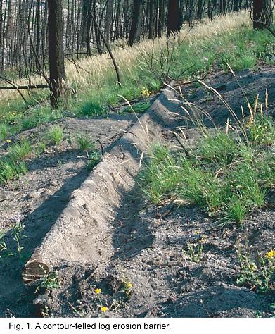 Fig. 1 -- A contour-felled log erosion barrier