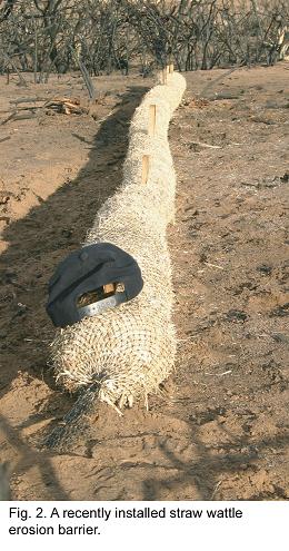 Fig. 2 -- A recently installed straw wattle erosion barrier.