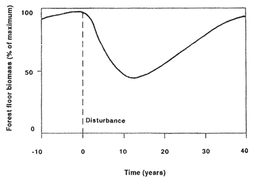 Graph shows forest floor biomass at the time of the disturbance and over the next 38 years.