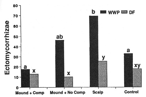 Graph showing effect of treatment on numbers of ectomycorrhizal tips per seedling after 3 years (harsh site).