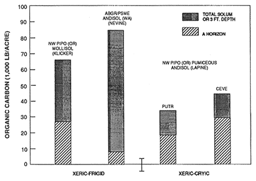 Graph showing mineral soil organic carbon content of representative soils and forest types.