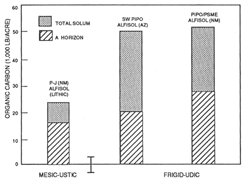 Graph showing mineral soil organic carbon content of representative soils and forest types.